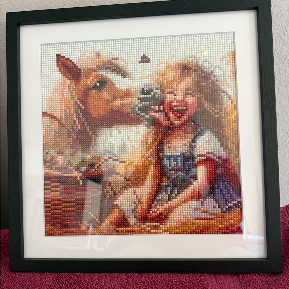 Framed Beaded Art with Girl and Horse